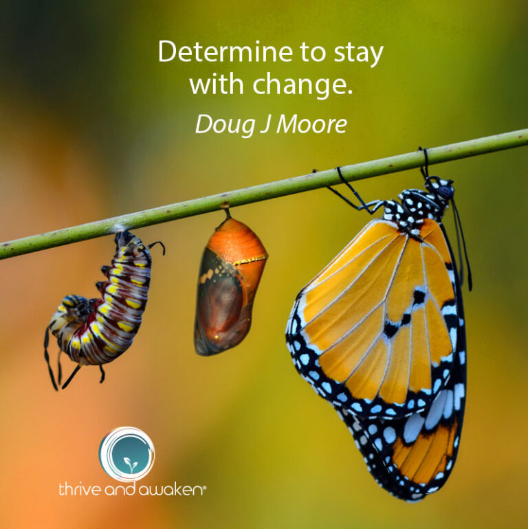 Image of caterpillar turning into a butterfly. Saying is: Determine to stay with change.